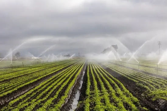 AGROINDUSTRIAL